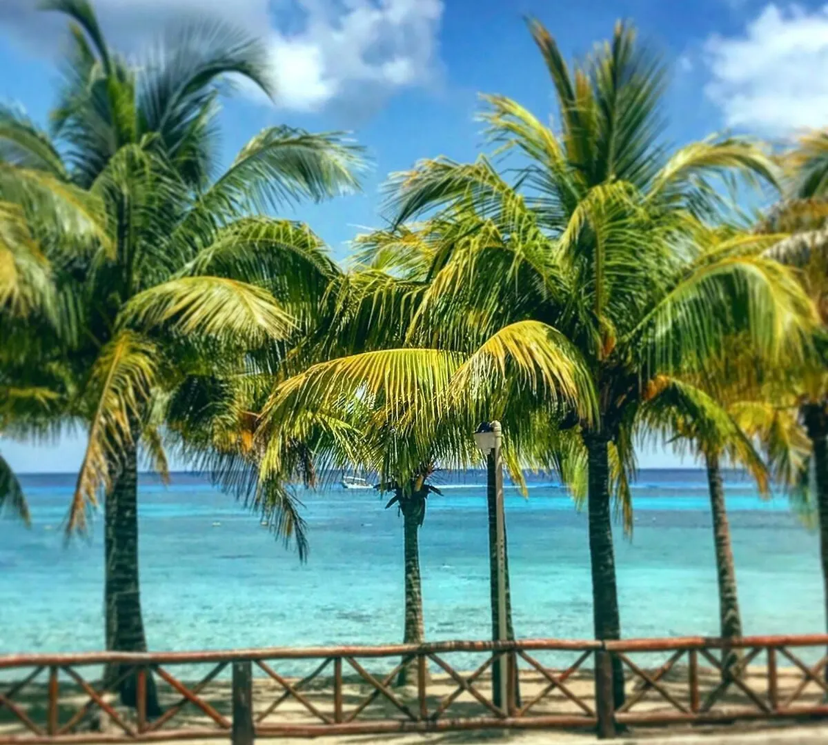 Affordable Luxury 3Br The Best Cozumel Has To Offer It Is The Landmark Apartment